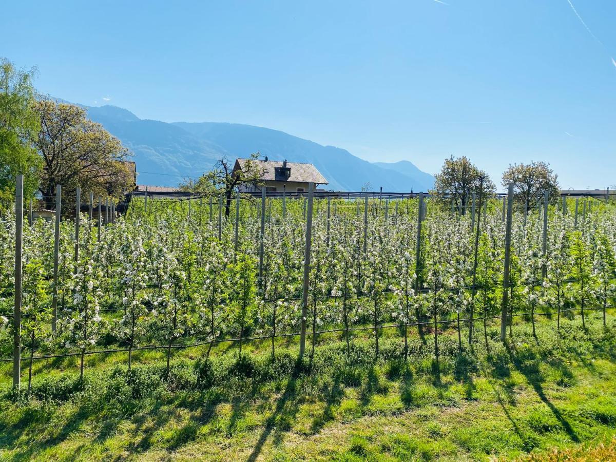 Bed and Breakfast Pension Rebgut Lana Zewnętrze zdjęcie